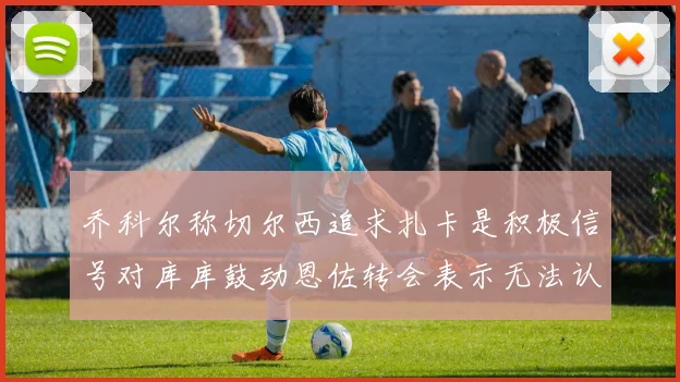 乔科尔称切尔西追求扎卡是积极信号对库库鼓动恩佐转会表示无法认同