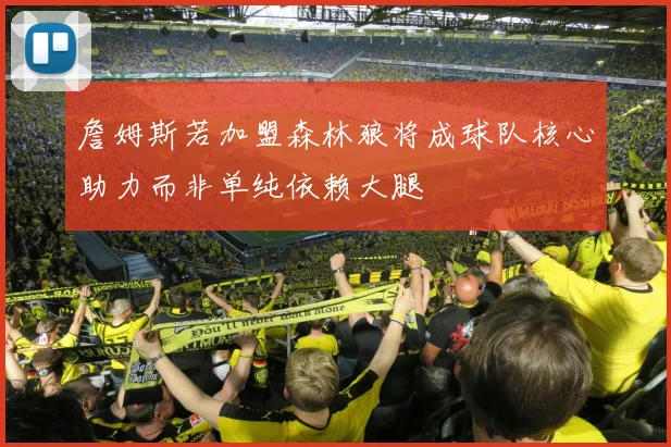 詹姆斯若加盟森林狼将成球队核心助力而非单纯依赖大腿